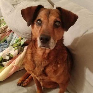 Meet your Posher, Jodi